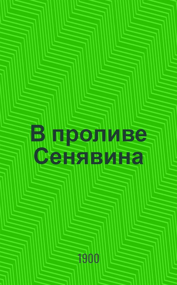 В проливе Сенявина