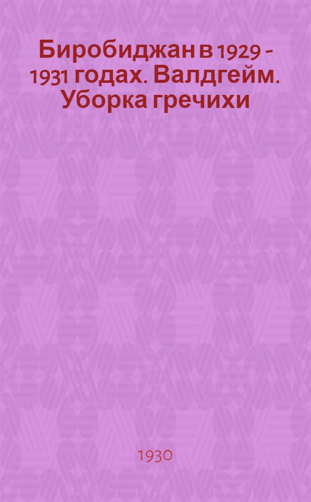 Биробиджан в 1929 - 1931 годах. Валдгейм. Уборка гречихи