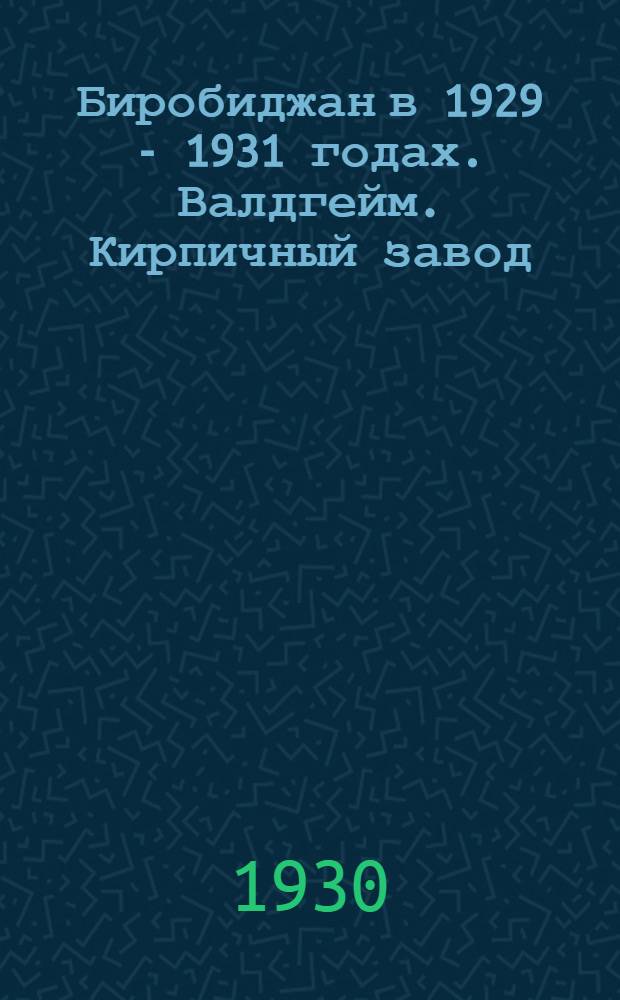 Биробиджан в 1929 - 1931 годах. Валдгейм. Кирпичный завод