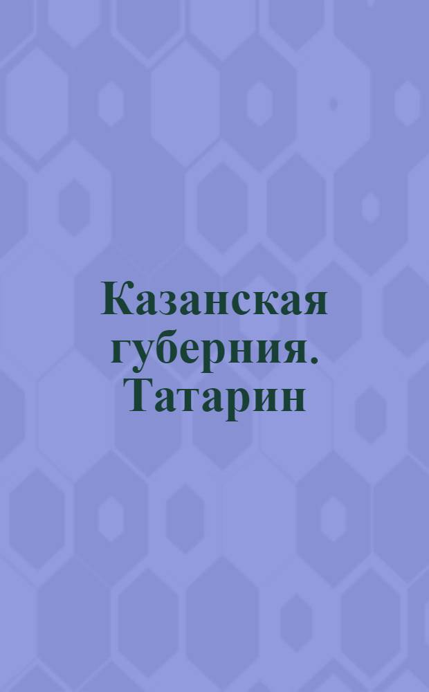 Казанская губерния. Татарин