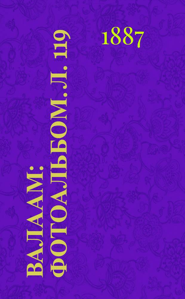 Валаам : Фотоальбом. Л. 119 : Монах на фоне Никольского скита