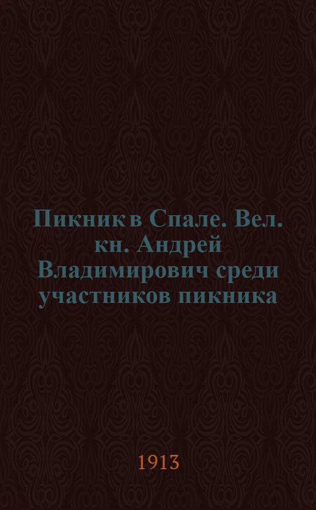 Пикник в Спале. Вел. кн. Андрей Владимирович среди участников пикника