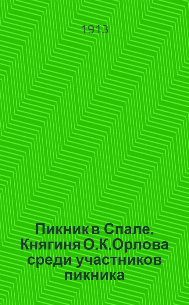 Пикник в Спале. Княгиня О.К.Орлова среди участников пикника