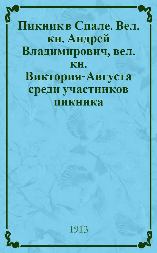 Пикник в Спале. Вел. кн. Андрей Владимирович, вел. кн. Виктория-Августа среди участников пикника