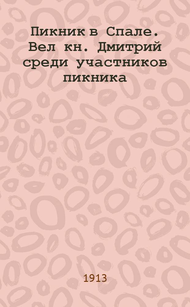 Пикник в Спале. Вел кн. Дмитрий среди участников пикника