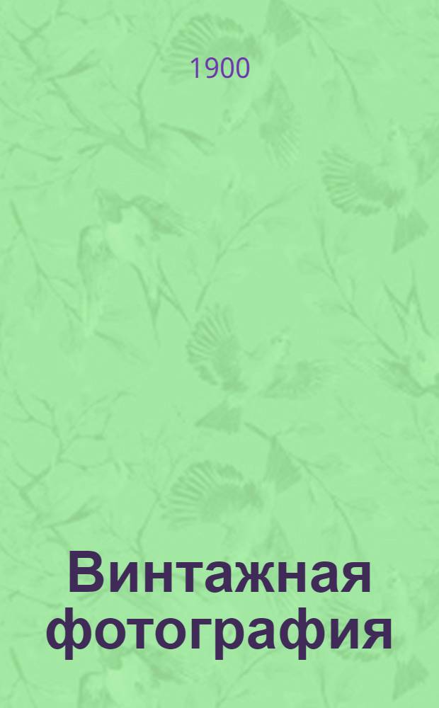 Винтажная фотография : Сидящая девушка