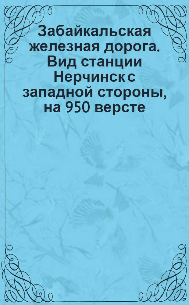 Забайкальская железная дорога. Вид станции Нерчинск с западной стороны, на 950 версте