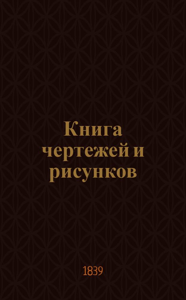 Книга чертежей и рисунков (Планы городов). План Полоцкого наместничества городу Себежу