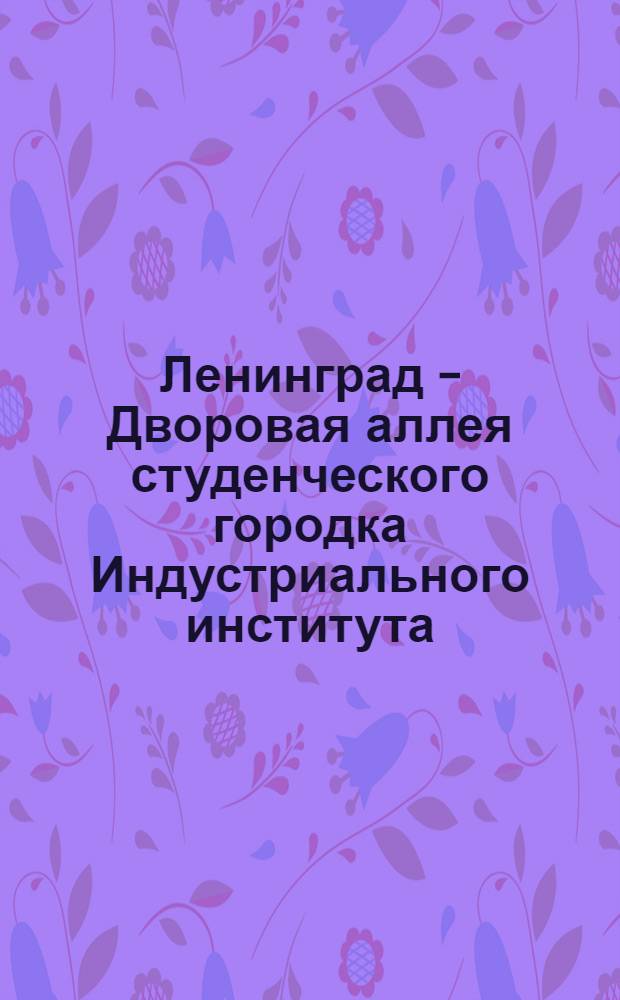 Ленинград - Дворовая аллея студенческого городка Индустриального института