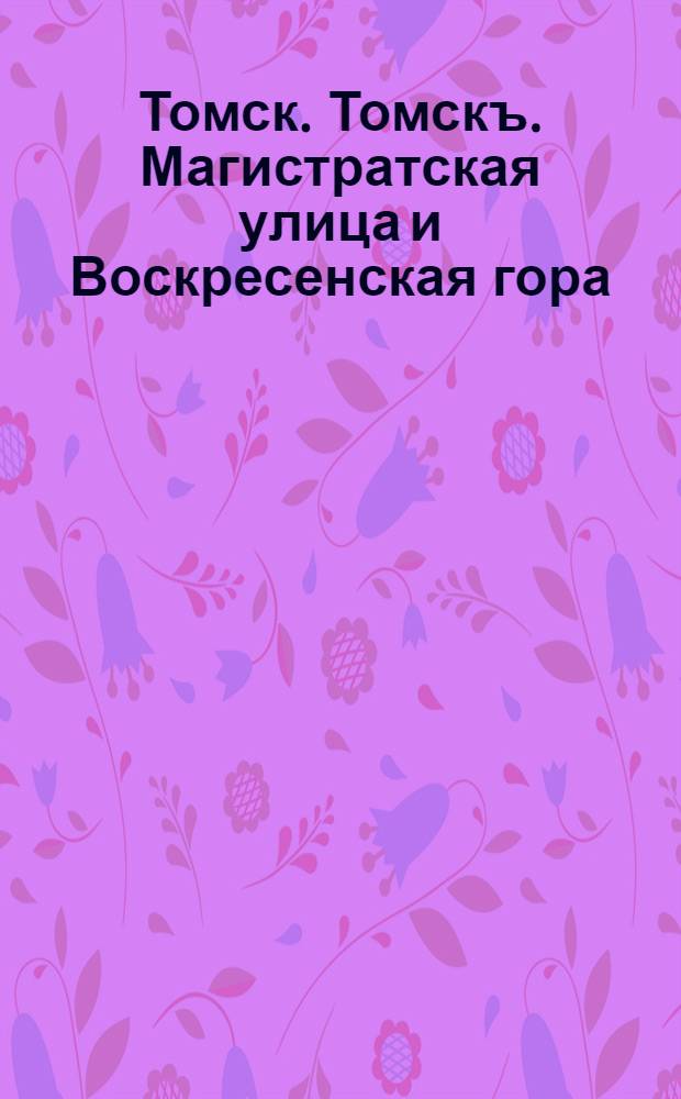 Томск. Томскъ. Магистратская улица и Воскресенская гора