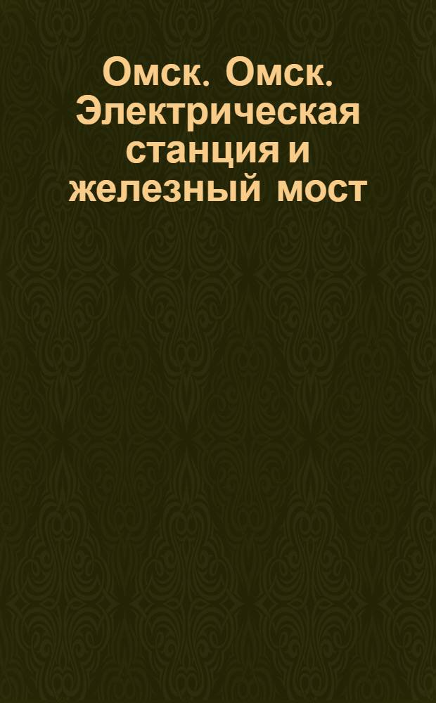 Омск. Омск. Электрическая станция и железный мост