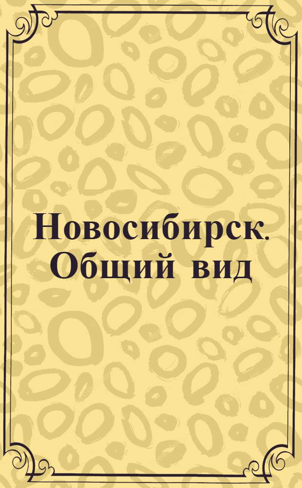Новосибирск. Общий вид