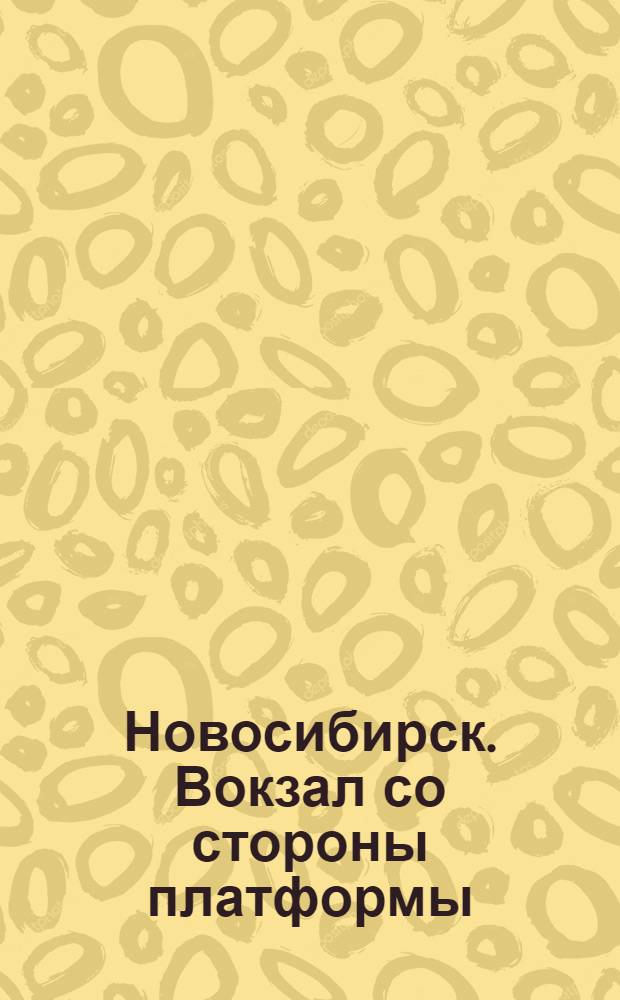 Новосибирск. Вокзал со стороны платформы