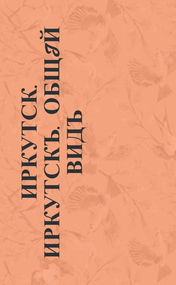 Иркутск. Иркутскъ. Общiй видъ