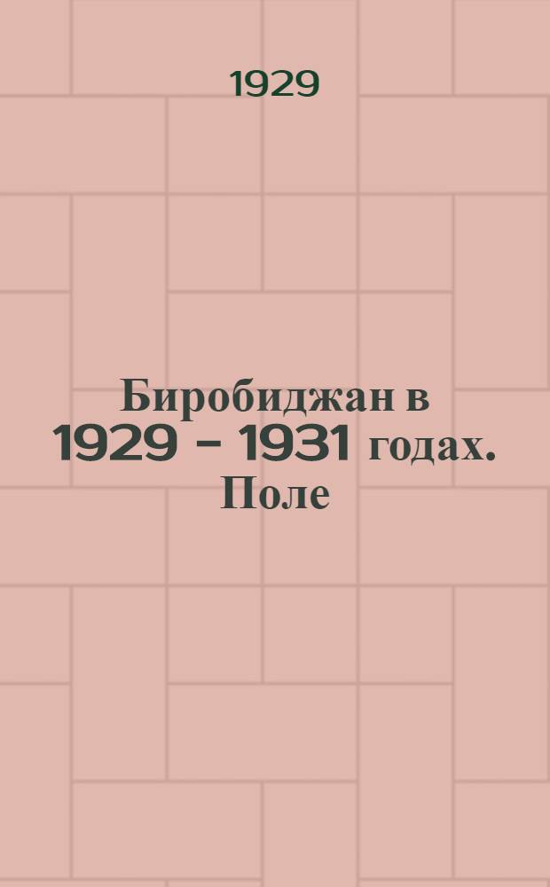 Биробиджан в 1929 - 1931 годах. Поле
