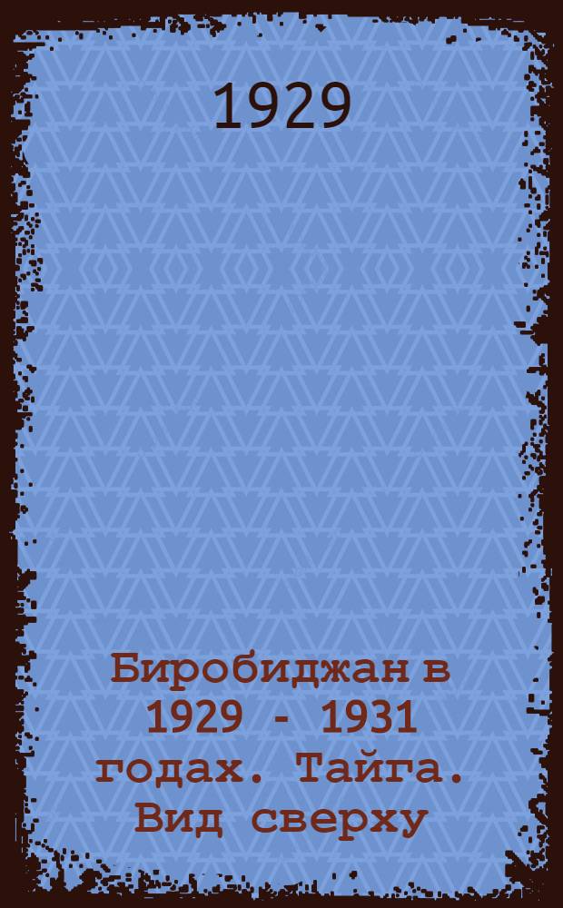 Биробиджан в 1929 - 1931 годах. Тайга. Вид сверху