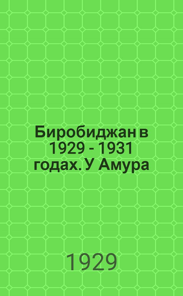 Биробиджан в 1929 - 1931 годах. У Амура