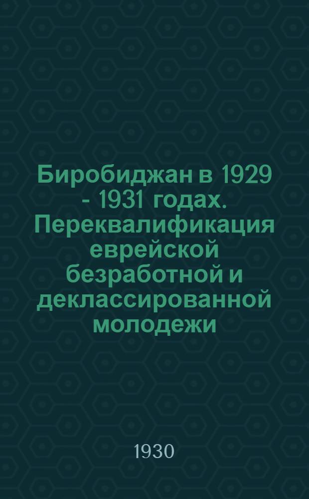Биробиджан в 1929 - 1931 годах. Переквалификация еврейской безработной и деклассированной молодежи. Подготовка каменщиков. Местечко Ильинцы, Подолия