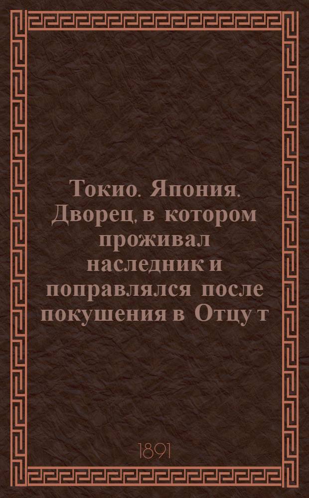 Токио. Япония. Дворец, в котором проживал наследник и поправлялся после покушения в Отцу [т. е. Оцу] : фотография // [Т. 4]