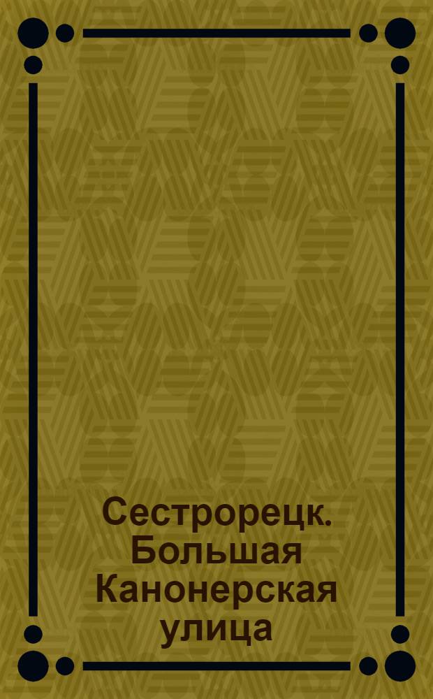 Сестрорецк. Большая Канонерская улица = Sestrorezk. La rue Grande Kanonerskaja