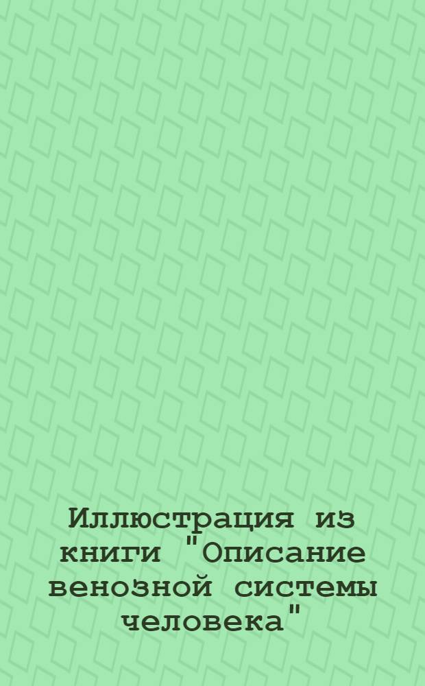 Иллюстрация из книги "Описание венозной системы человека"