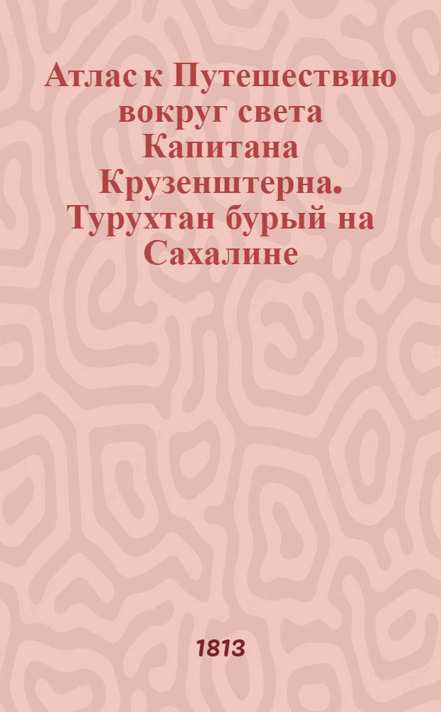 Атлас к Путешествию вокруг света Капитана Крузенштерна. Турухтан бурый на Сахалине