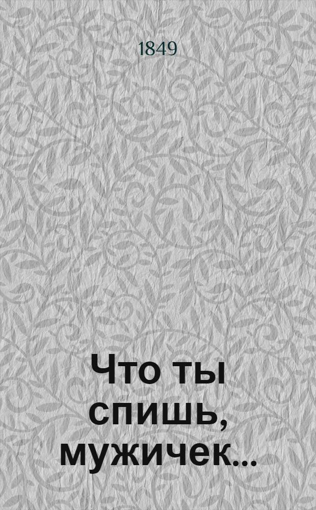 Что ты спишь, мужичек...