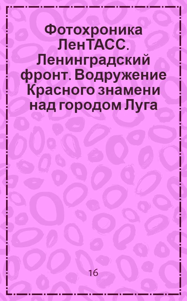 Фотохроника ЛенТАСС. Ленинградский фронт. Водружение Красного знамени над городом Луга