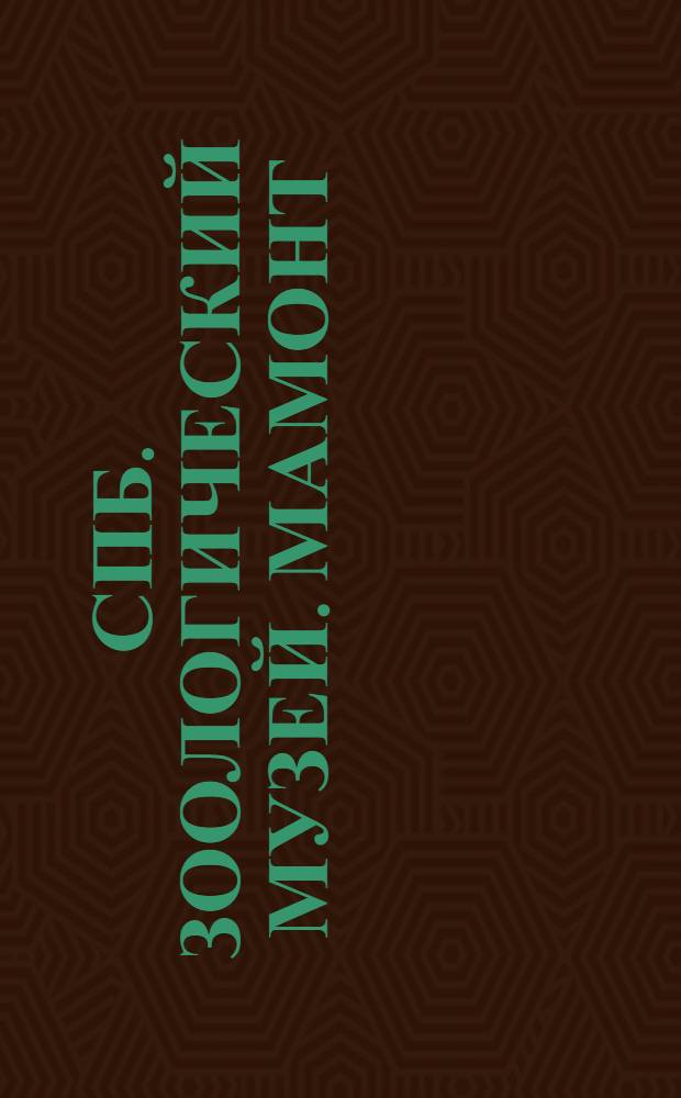 СПБ. Зоологический музей. Мамонт = Elephas primicenius : открытое письмо