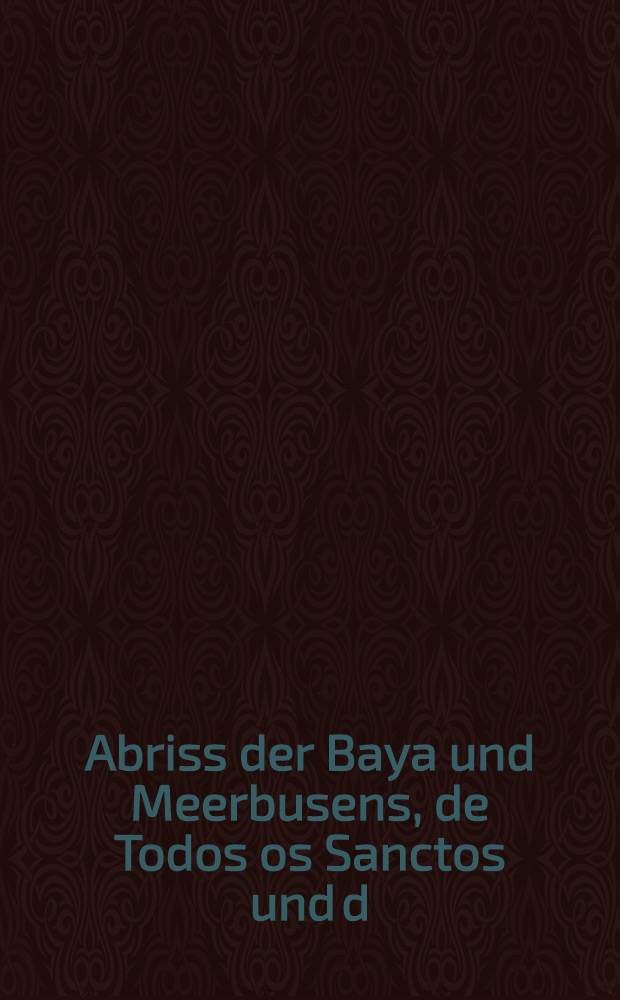 Abriss der Baya und Meerbusens, de Todos os Sanctos und d/ Statt SSaluador von Hollandern eingenomen