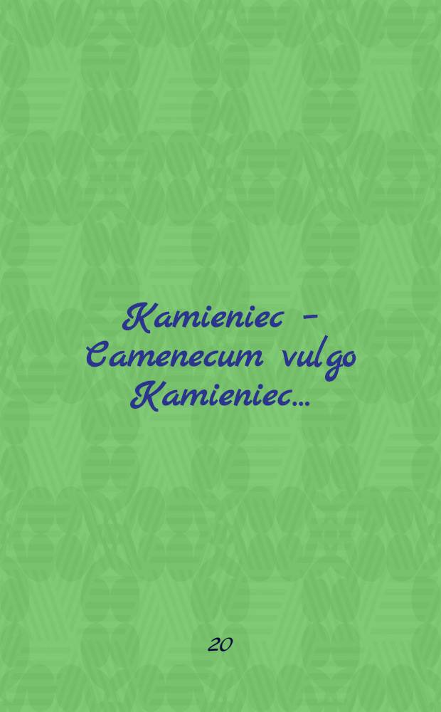 Kamieniec – Camenecum vulgo Kamieniec…