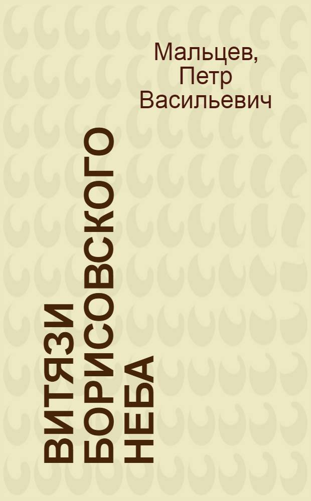 Витязи борисовского неба : воспоминания