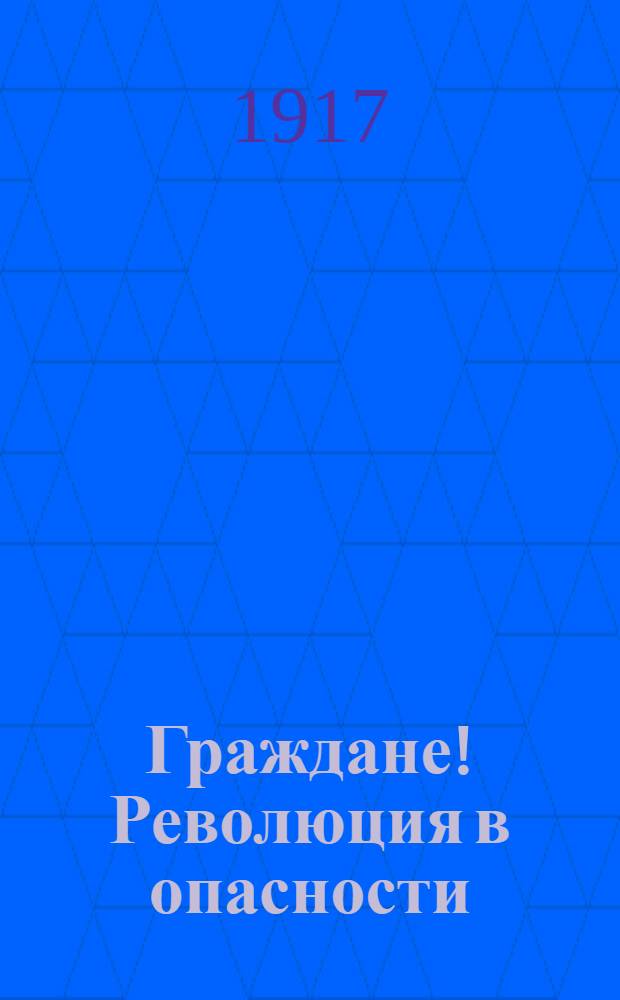 Граждане! Революция в опасности