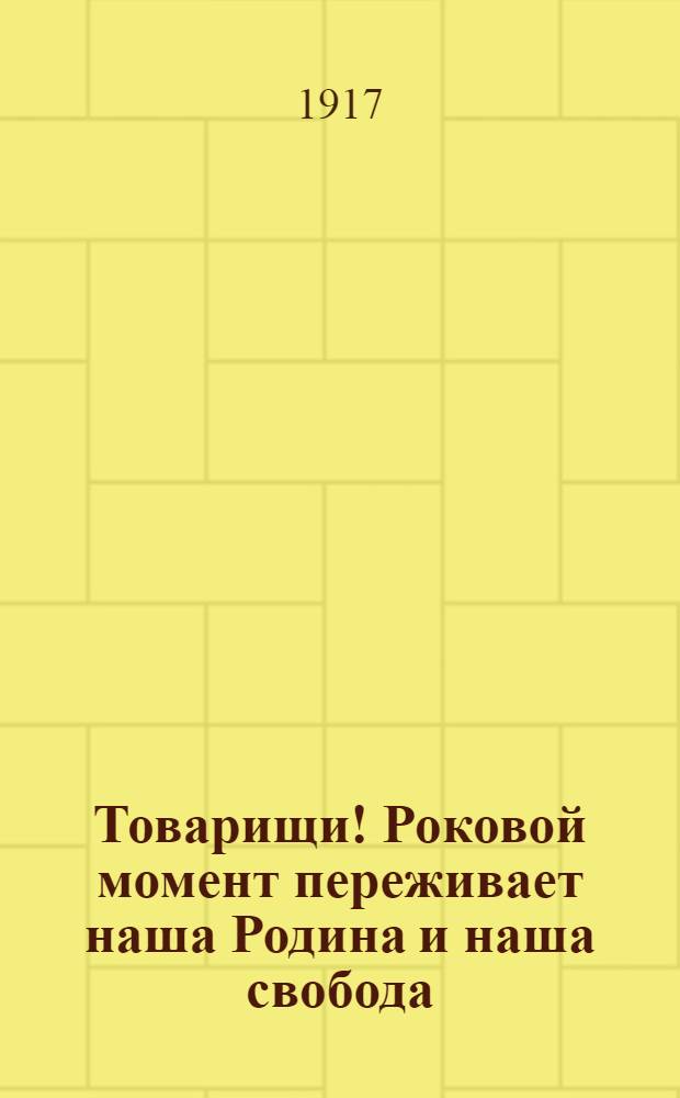 Товарищи! Роковой момент переживает наша Родина и наша свобода