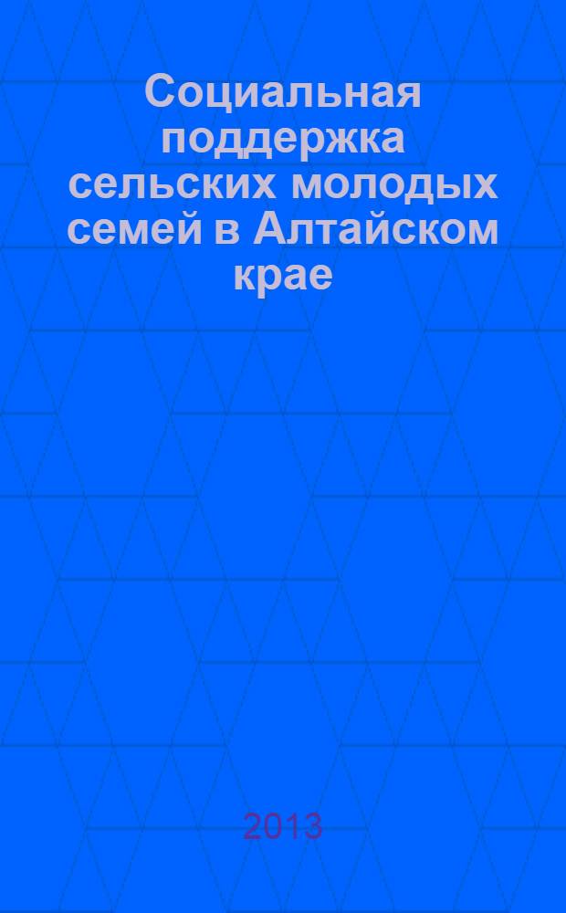 Социальная поддержка сельских молодых семей в Алтайском крае : монография