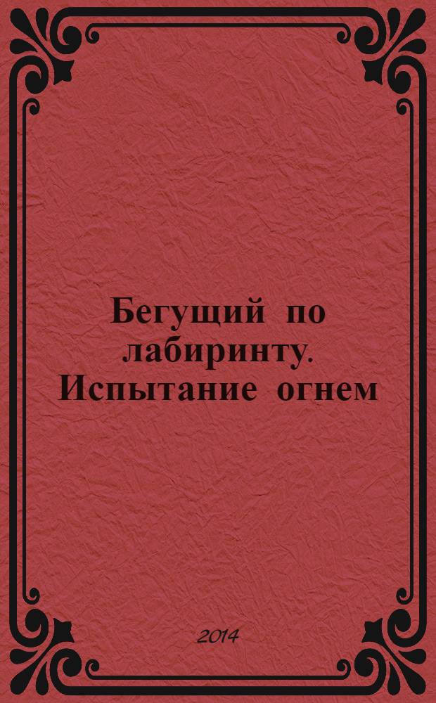 Бегущий по лабиринту. Испытание огнем