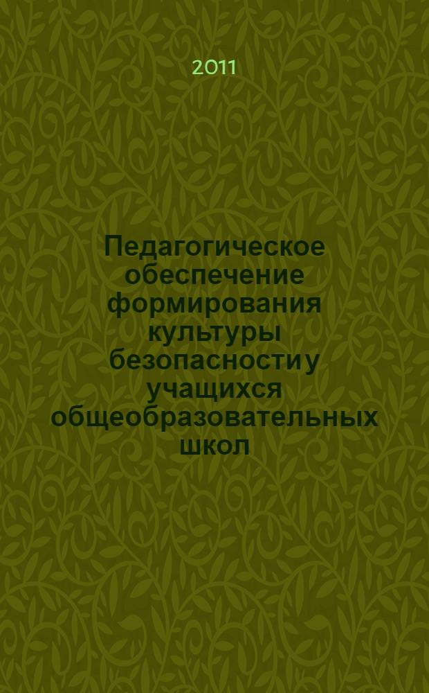 Педагогическое обеспечение формирования культуры безопасности у учащихся общеобразовательных школ (в условиях Северо-Кавказского федерального округа) : автореферат диссертации на соискание ученой степени к. п. н. : специальность 13.00.01 <Общая педагогика>
