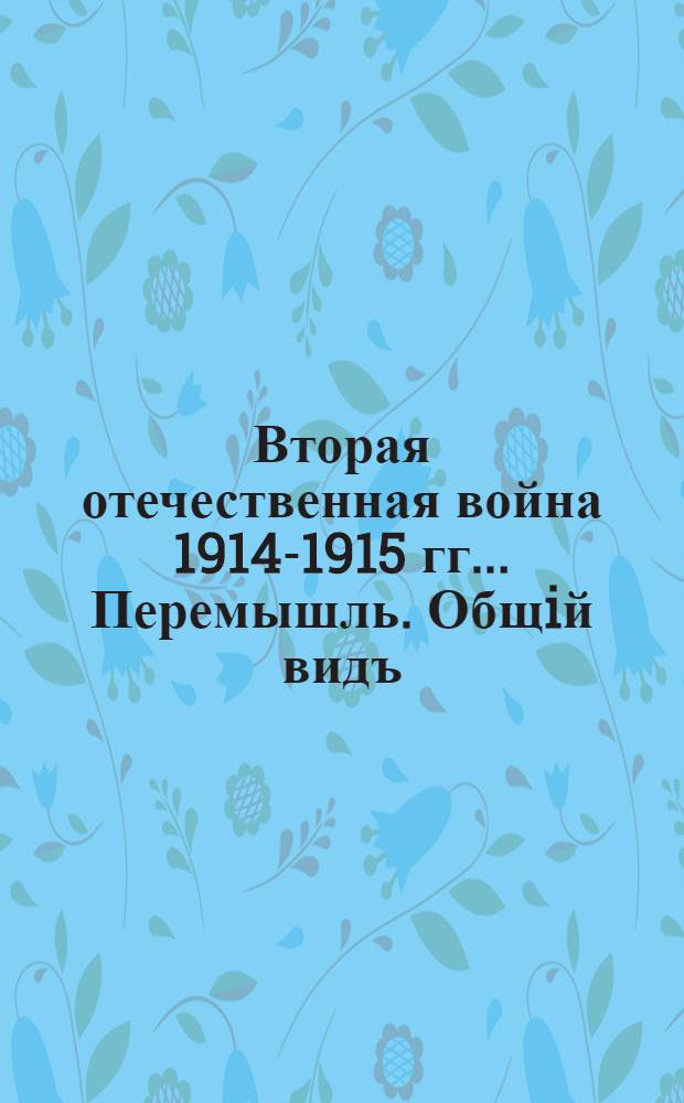 Вторая отечественная война 1914-1915 гг.. Перемышль. Общiй видъ : открытое письмо