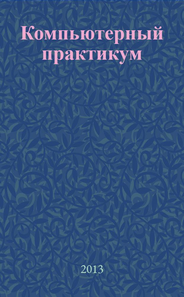 Компьютерный практикум : учебное пособие для бакалавров
