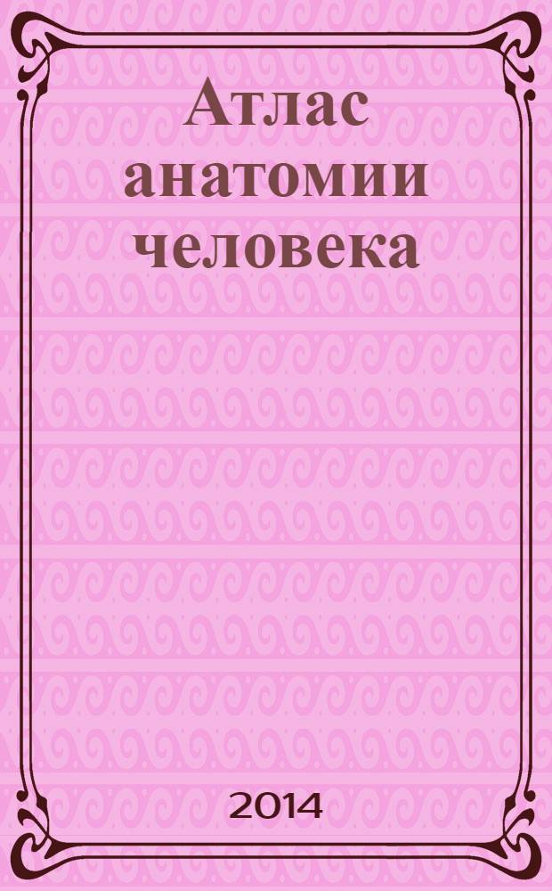 Атлас анатомии человека : учебное пособие для студентов учреждений среднего профессионального образования : оригинальная подача материала, облегчающая его восприятие, полное соответствие программе по анатомии человека для учреждений среднего профессионального образования