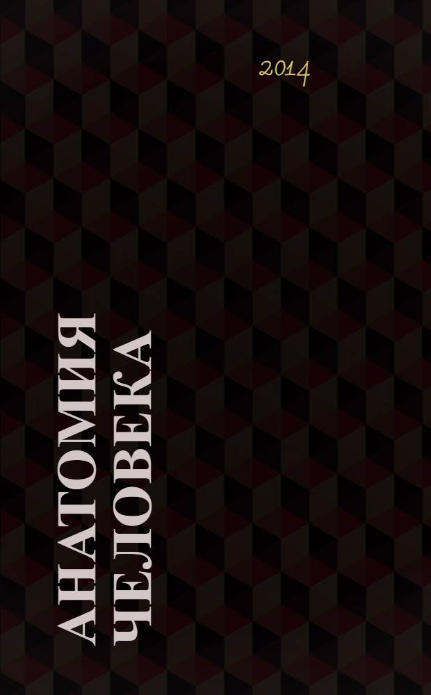 Анатомия человека : иллюстрированный учебник для высшего профессионального образования по специальностям "Лечебное дело", "Педиатрия" по дисциплине "Анатомия" в 3 т. Т. 2 : Спланхнология и сердечно-сосудистая система