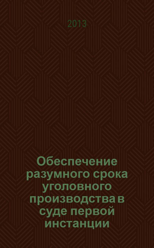 Обеспечение разумного срока уголовного производства в суде первой инстанции : монография
