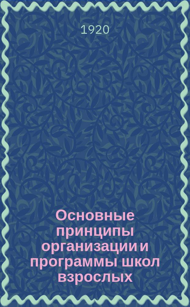 Основные принципы организации и программы школ взрослых