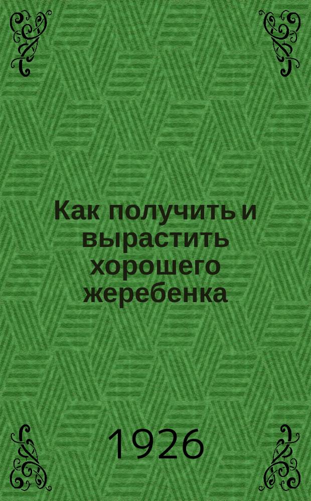 Как получить и вырастить хорошего жеребенка