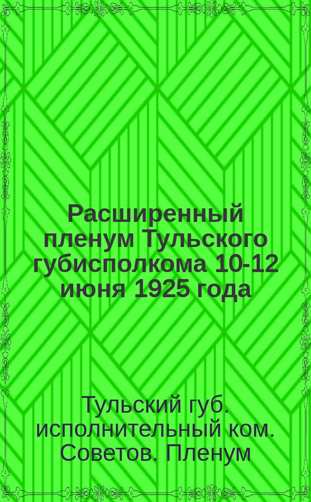 Расширенный пленум Тульского губисполкома 10-12 июня 1925 года : Отчет