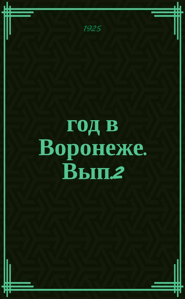 1905 год в Воронеже. Вып.2 : Страницы жуткой были