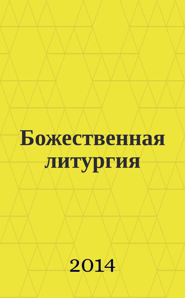 Божественная литургия : объяснение смысла, значения, содержания