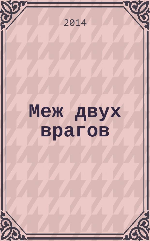 Меж двух врагов : роман