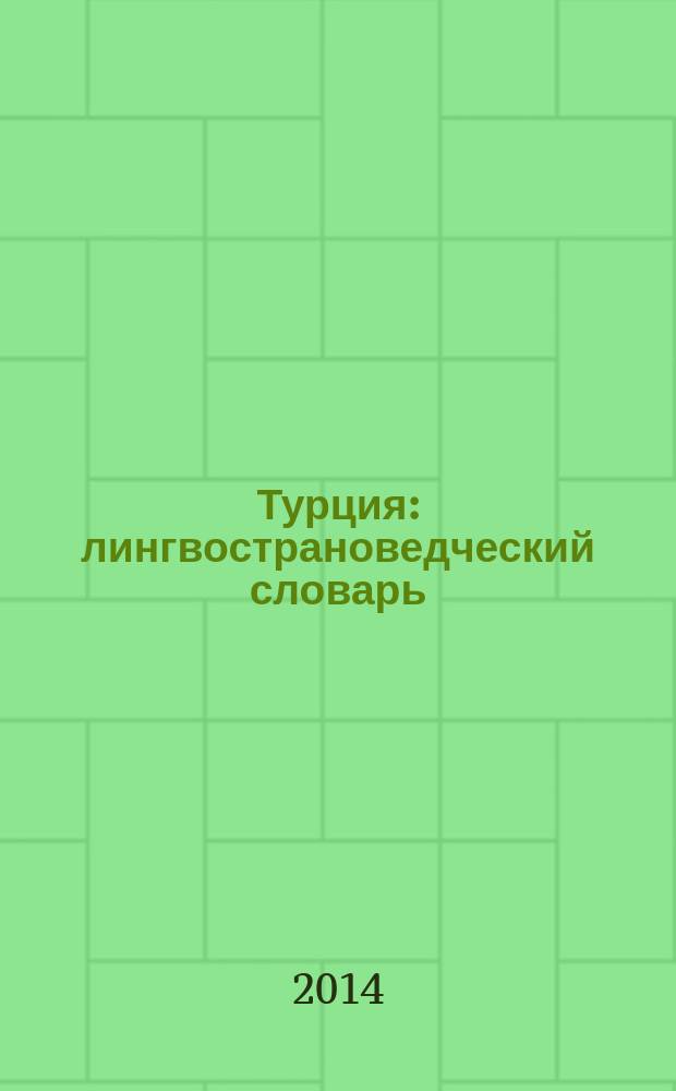 Турция : лингвострановедческий словарь