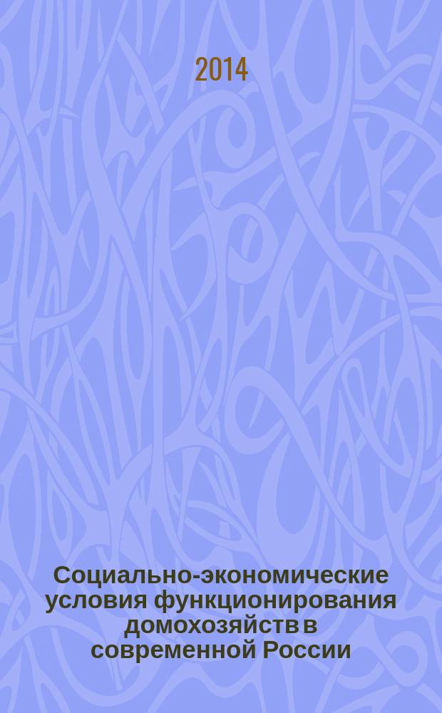 Социально-экономические условия функционирования домохозяйств в современной России : монография